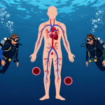 Effects of Water Pressure on the Human Body: What Divers Need to Know